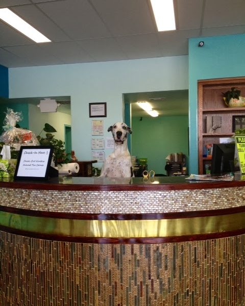 PetCare Veterinary Clinic