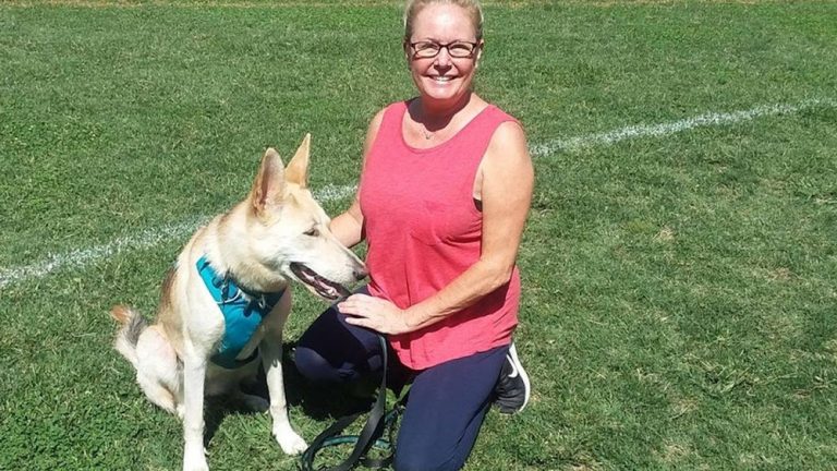 Professional Pet Care & Services